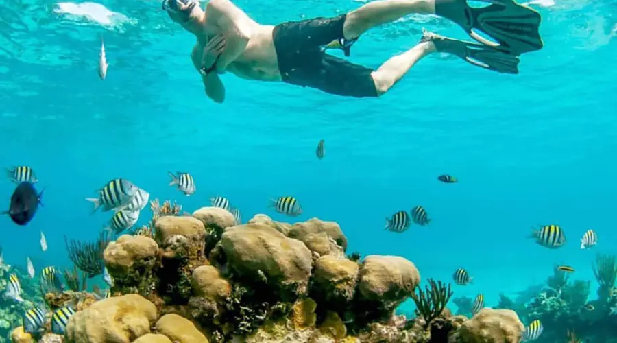 A man snorkels over coral reefs in Grand Cayman.