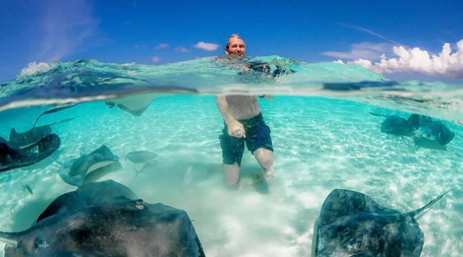 A man is swimming with sting rays at Stingray City.