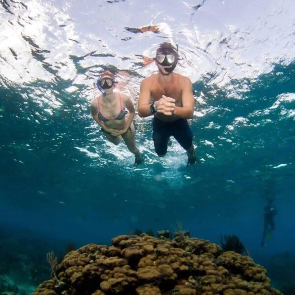 Two people snorkel near a coral reef in Grand Cayman with rental equipment.