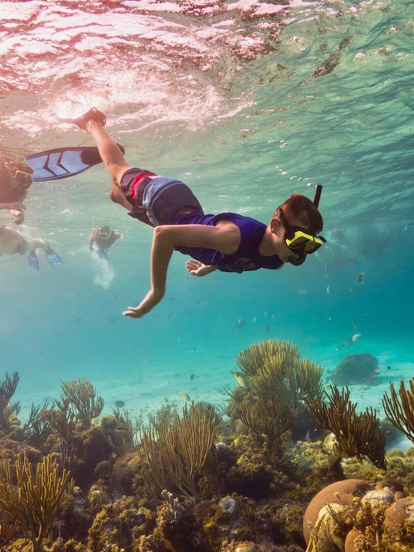 A man snorkling over coral reefs in the caribbean.