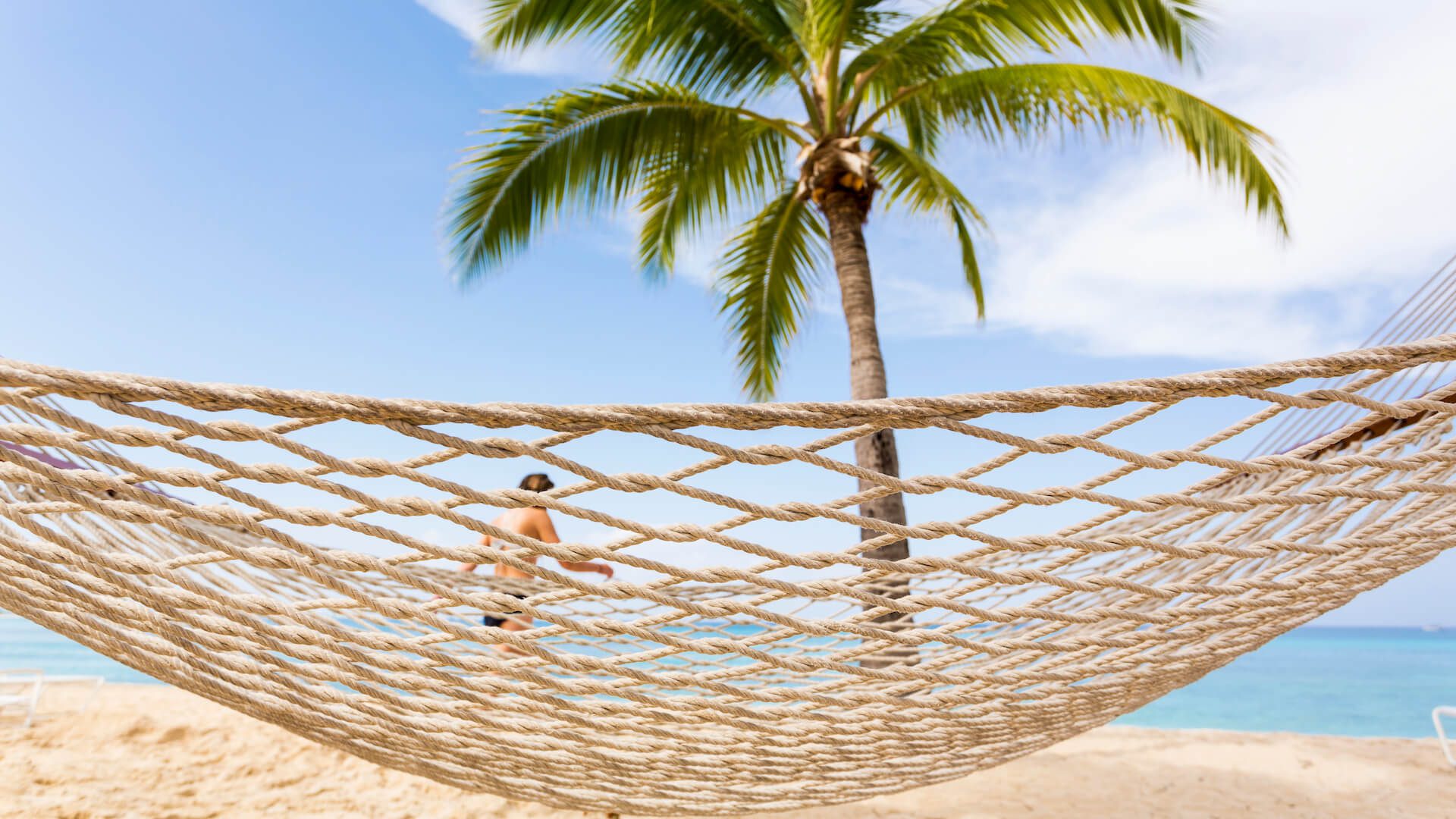 A hammock on the beach with palm tree