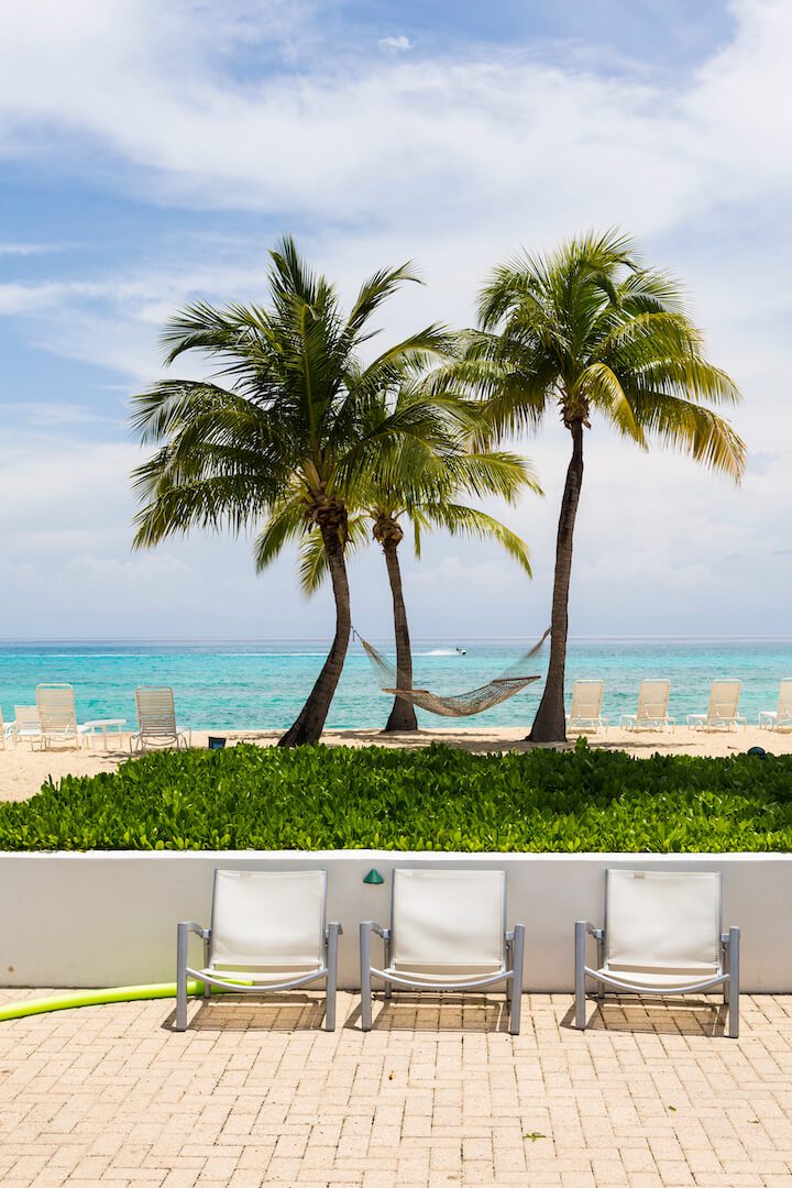 A group of chairs on a beach with palm trees in the background.