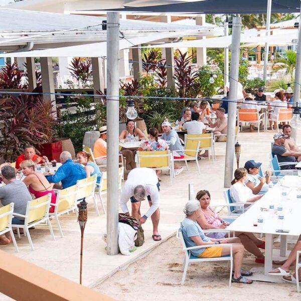 People dining at outdoor tables under partial shade, surrounded by trees and plants, with a sandy area nearby.