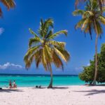 Sandy beach with palm trees, people lounging and swimming in turquoise ocean under a clear blue sky.